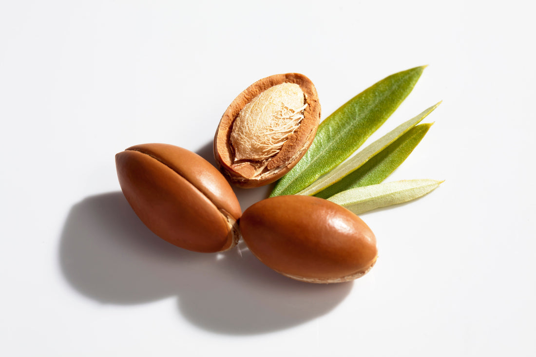 Aceite de jojoba: el aliado natural que transformará la belleza y bienestar femenino en 2026