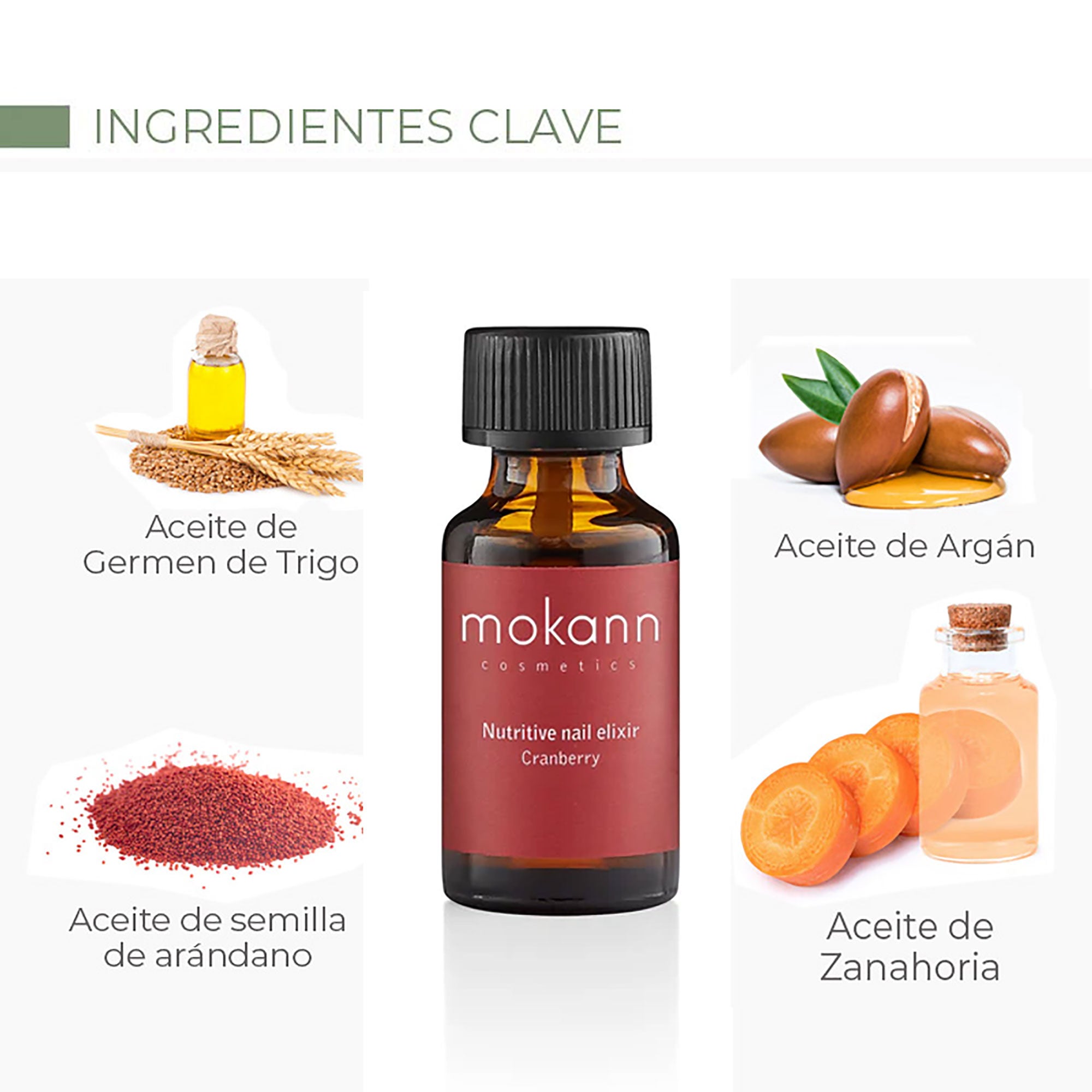 Elixir Nutritivo para Uñas 10ML