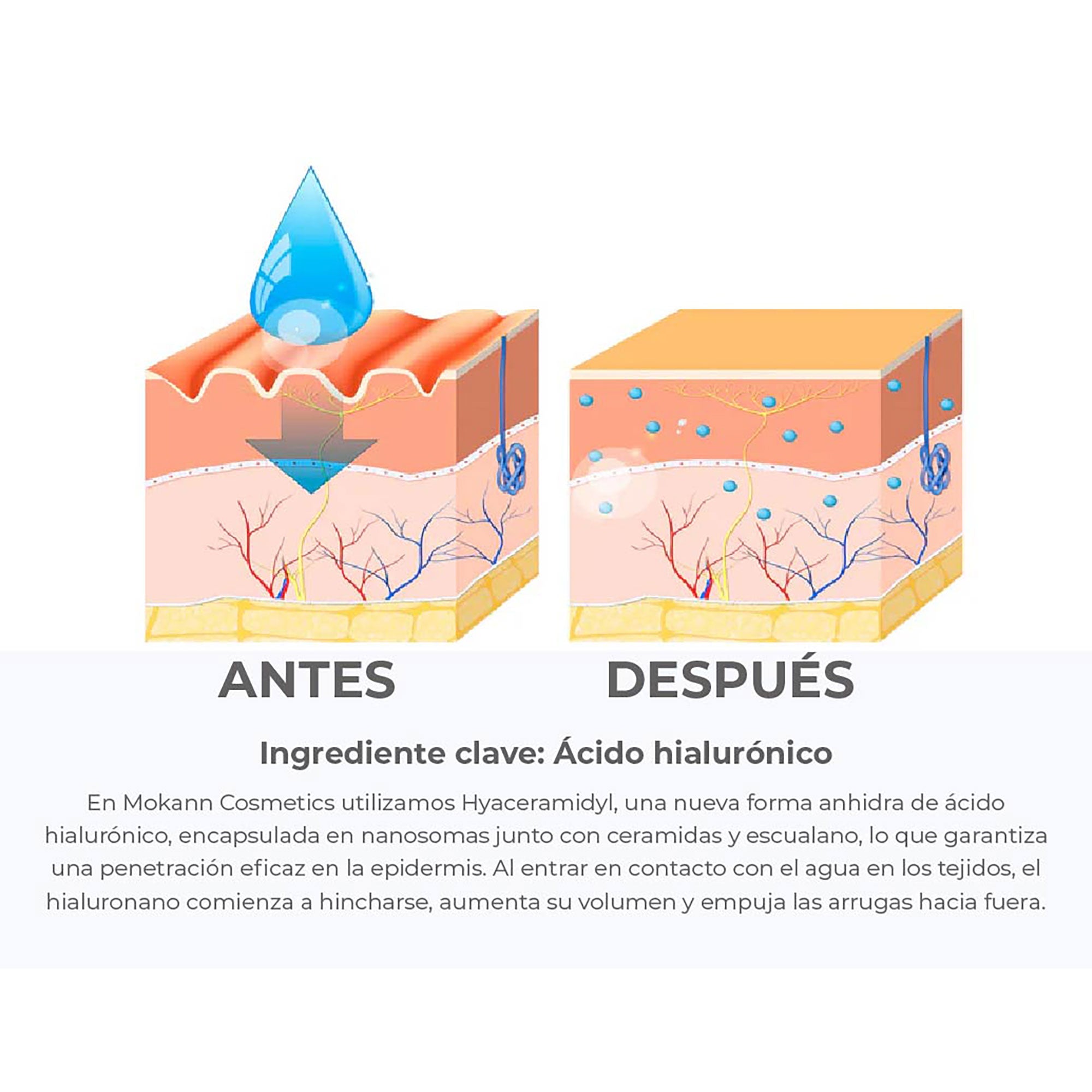 Sérum liposomal para ojos de pepino con ácido hialurónico de 12 ml