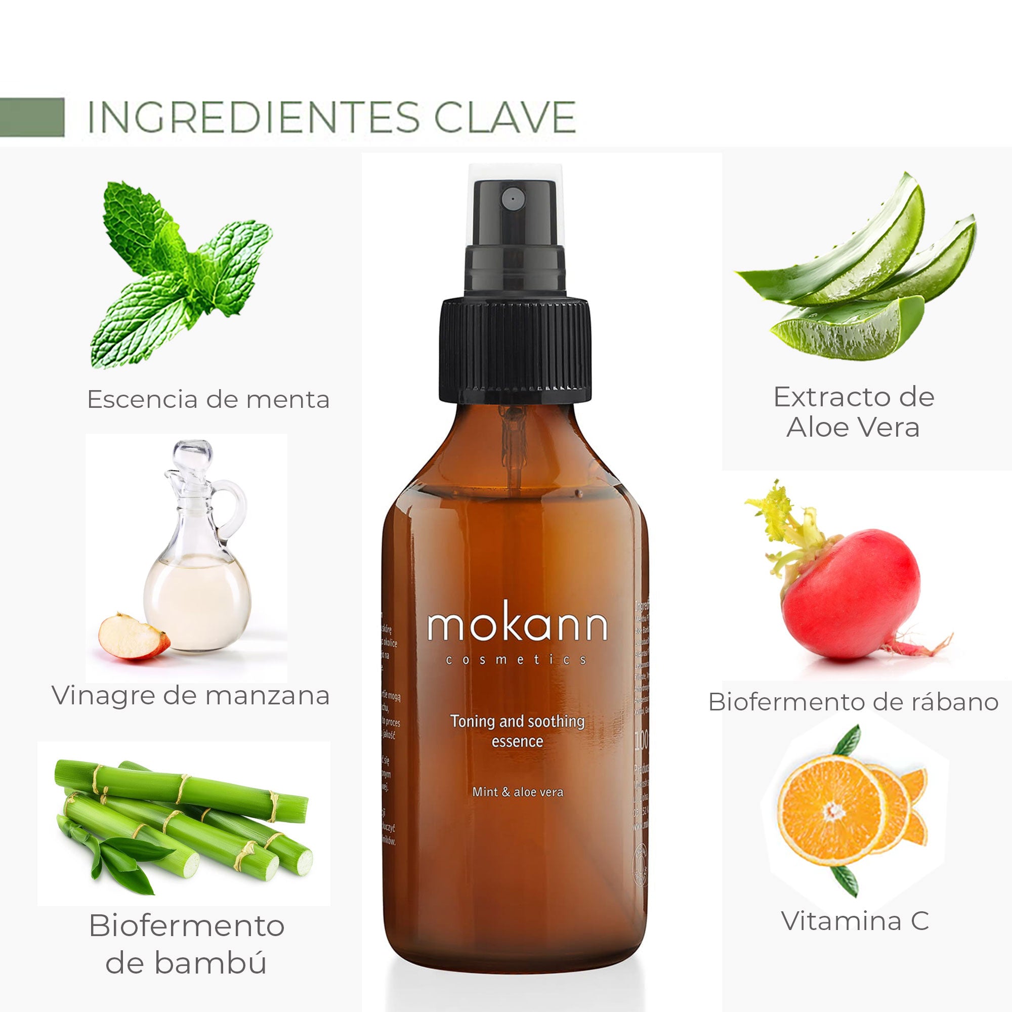 Esencia Tonificante y Calmante Menta y Aloe Vera